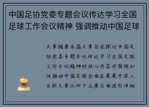 中国足协党委专题会议传达学习全国足球工作会议精神 强调推动中国足球全面发展 中国足协党委专题会议传达学习全国足球工作会议精神 强调推动中国足球全面发展