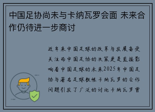 中国足协尚未与卡纳瓦罗会面 未来合作仍待进一步商讨 中国足协尚未与卡纳瓦罗会面 未来合作仍待进一步商讨